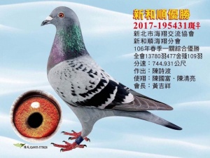 2017-195431 ♀